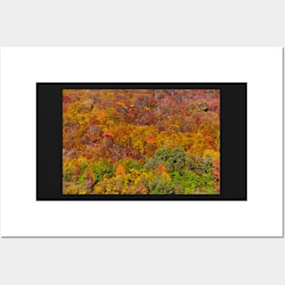 Colorful autumnal landscape Posters and Art